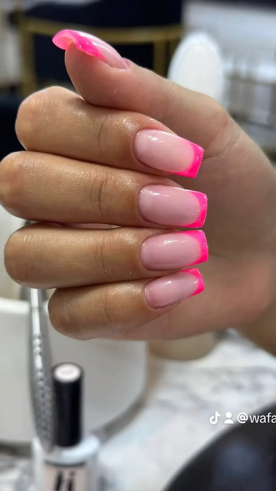French rose
